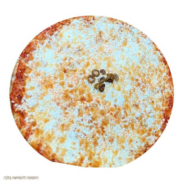 פיצה ללא גלוטן התמונה להמחשה בלבד